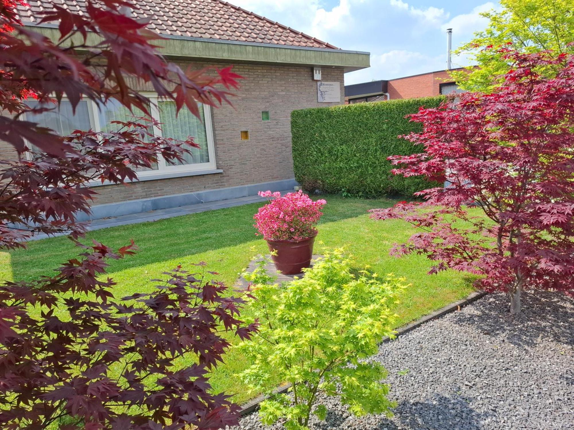 B&B Sogni D'Oro Lovendegem Extérieur photo